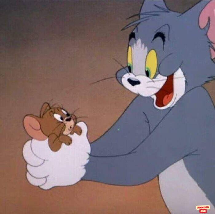 ảnh meme tom and jerry đáng yêu nhất