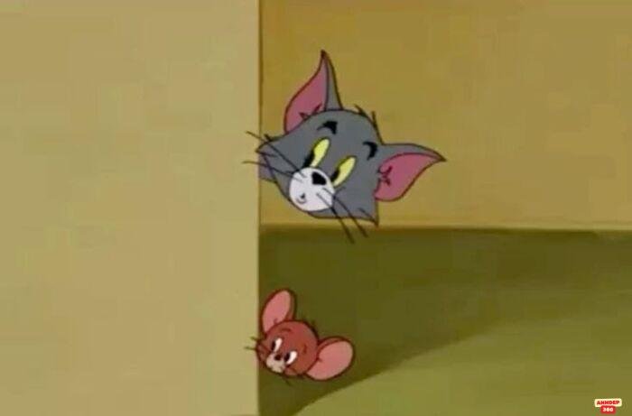 ảnh meme tom and jerry hài hước