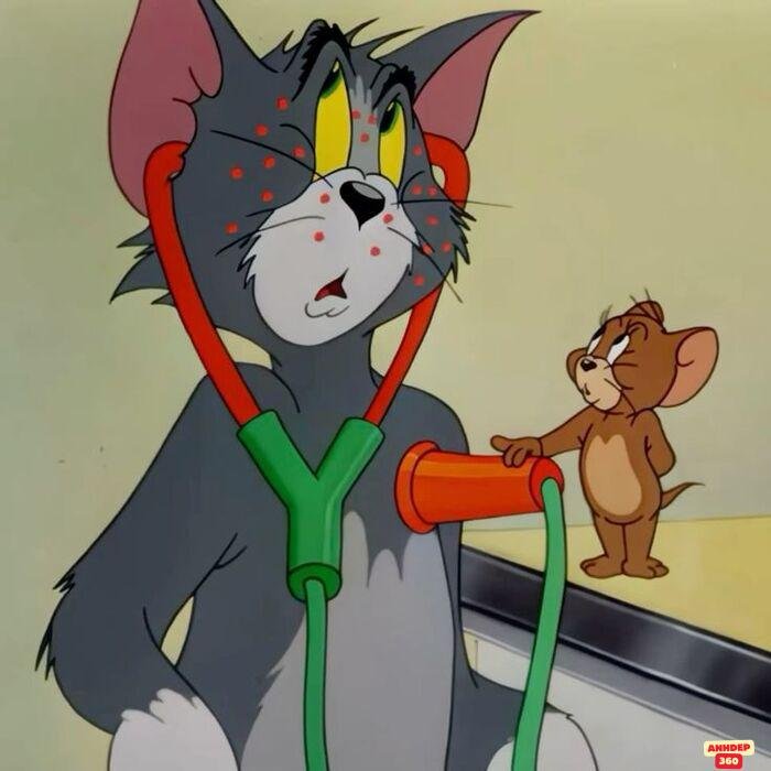 ảnh meme tom and jerry