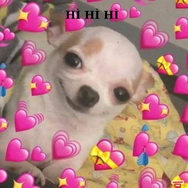 ảnh meme trái tim bựa