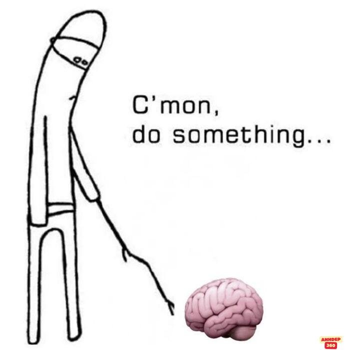 ảnh meme troll cười hài