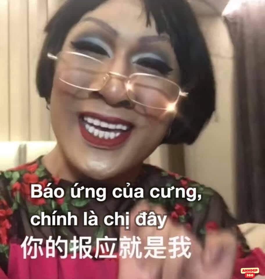 ảnh meme vui cực hài