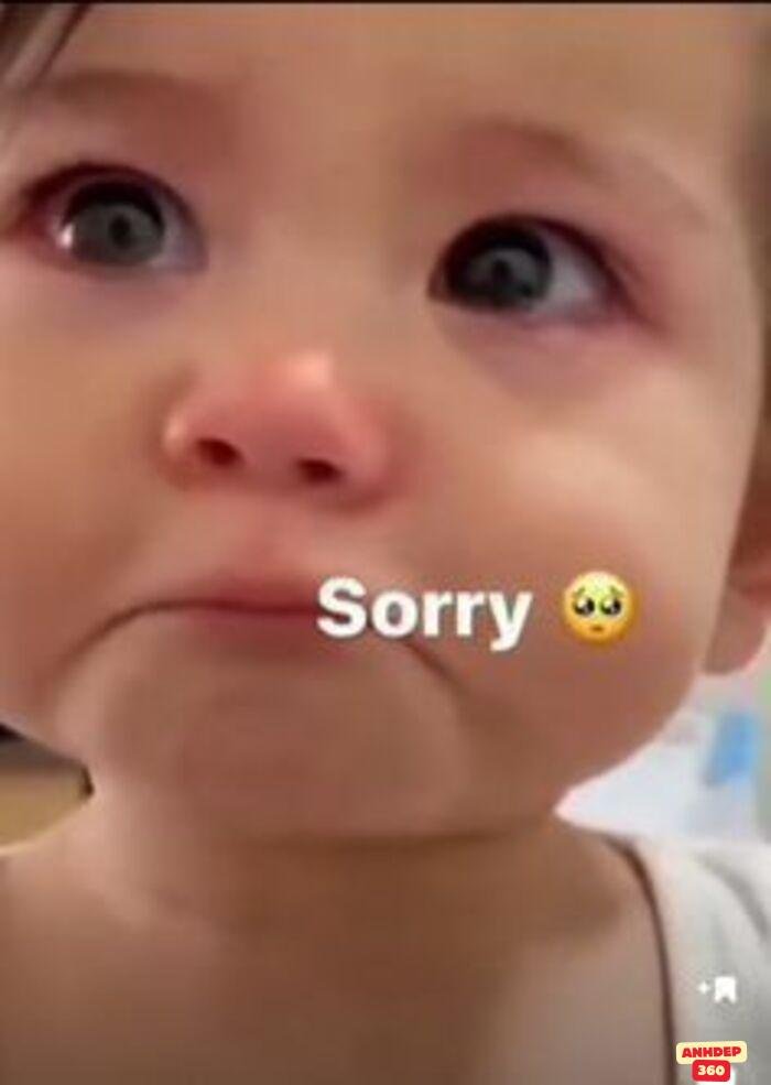 ảnh meme xin lỗi bùn