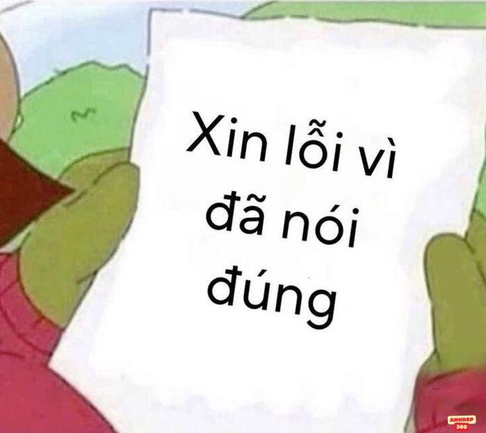 ảnh meme xin lỗi cực cute