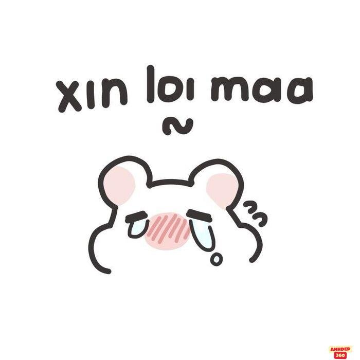 ảnh meme xin lỗi cực yêu