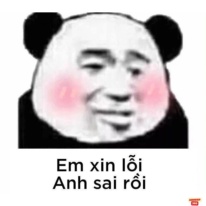 ảnh meme xin lỗi siêu buồn