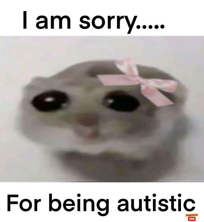 ảnh meme xin lỗi siêu hài