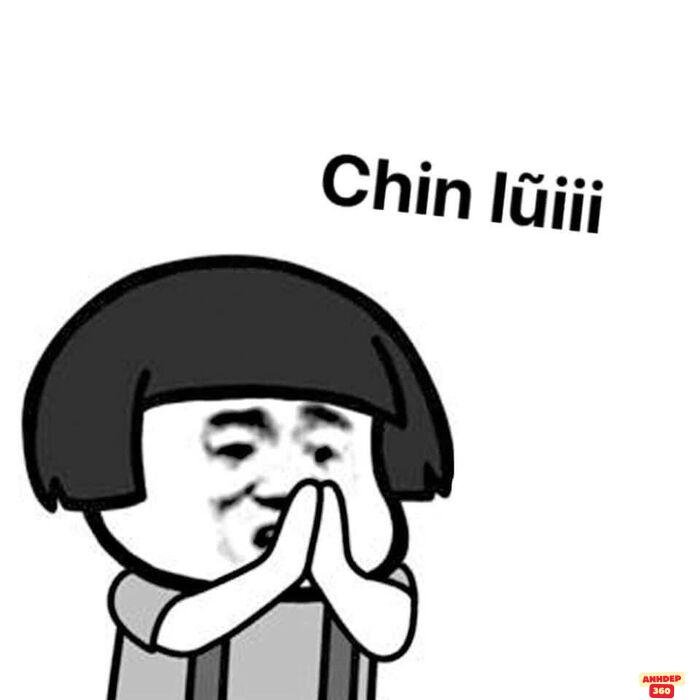 ảnh meme xin lỗi trung quốc