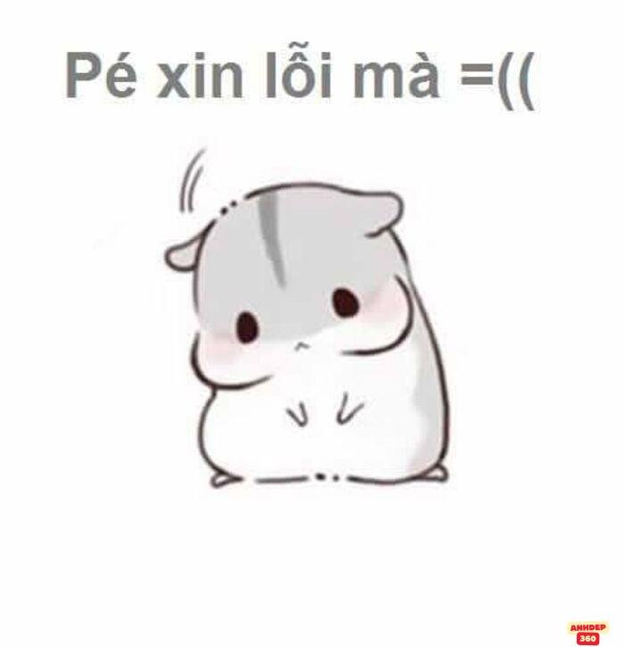 ảnh meme xin lỗi yêu nhất
