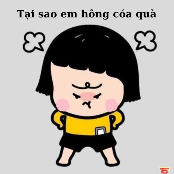 ảnh troll 20.10 tức