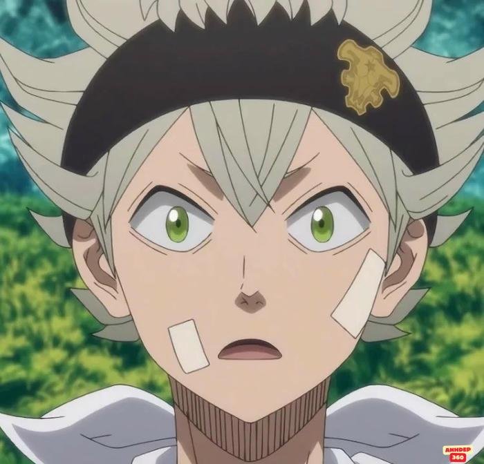 asta chất lượng