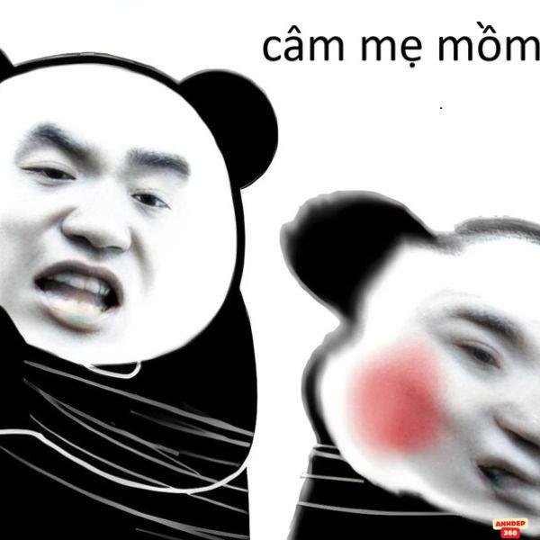 câm con mẹ mồm mày lại