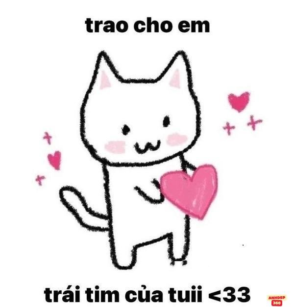 chú mèo trắng đáng yêu