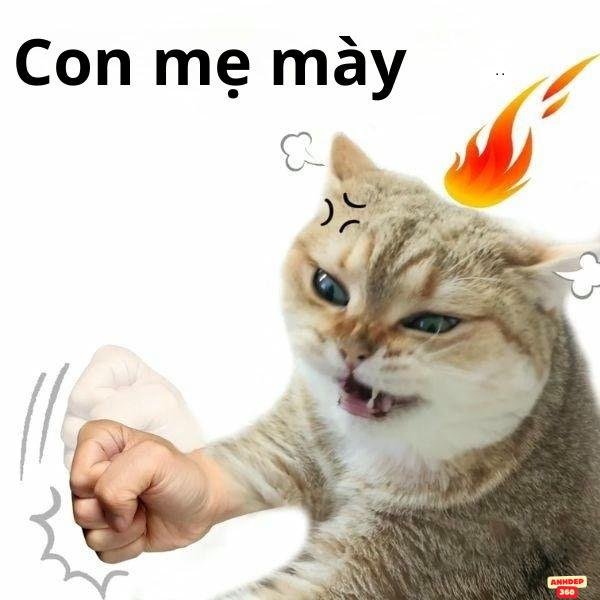 con mẹ mày