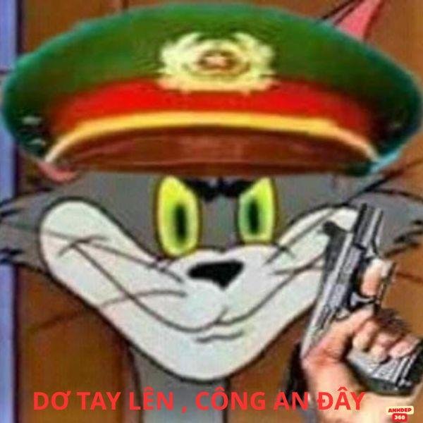 con mèo cầm súng free fire