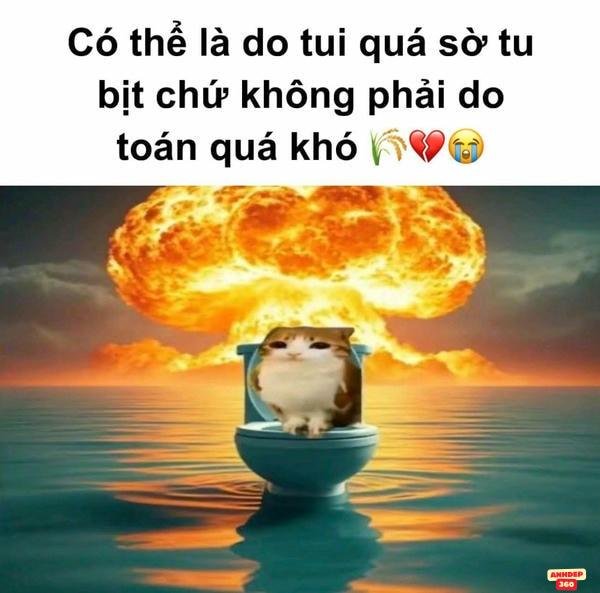 động vật bốc lửa