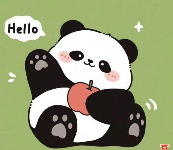 hình ảnh gấu trúc cute chibi đáng yêu xỉu