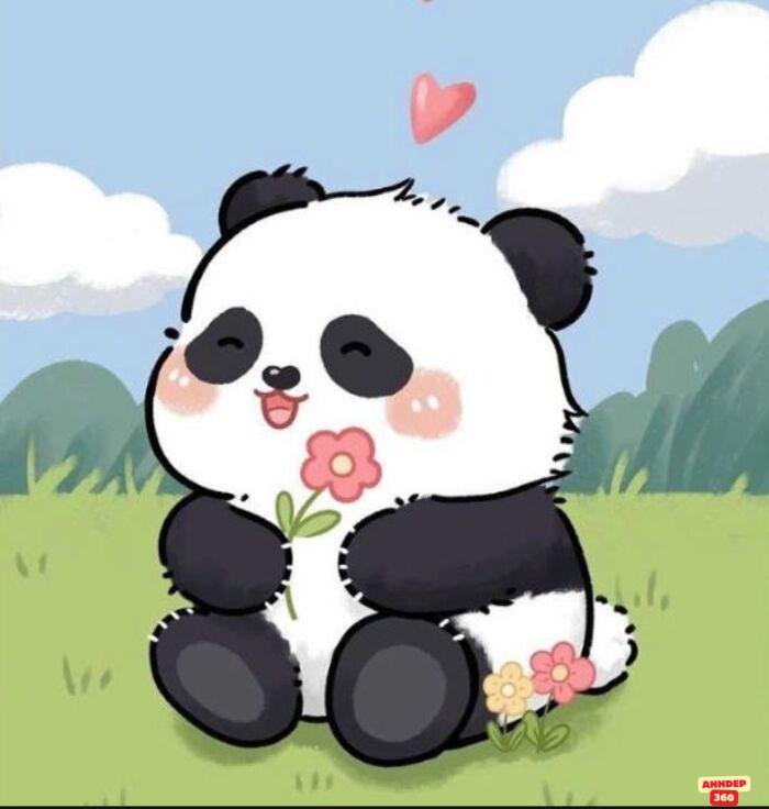 hình ảnh gấu trúc cute chibi yêu