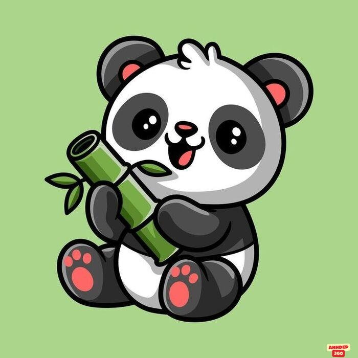 hình ảnh gấu trúc cute chibi