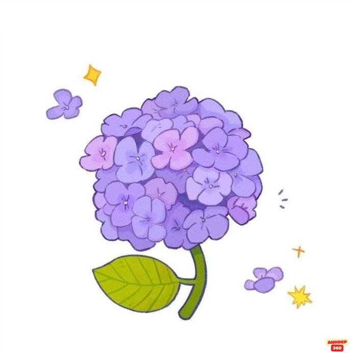 hình ảnh hoa chibi cẩm tú cầu