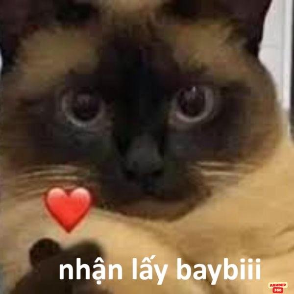 hình ảnh meme bắn tim troll team