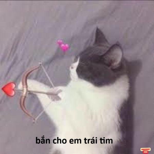 hình ảnh meme bắn tim