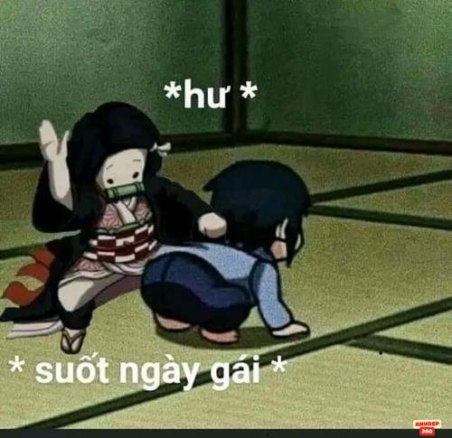 hinh anh meme đánh nhau