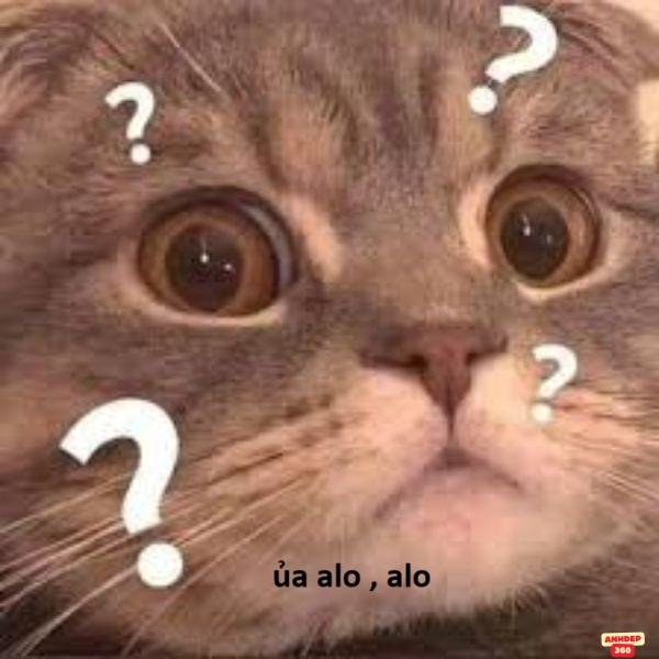 hình ảnh meme hỏi chấm hài hước