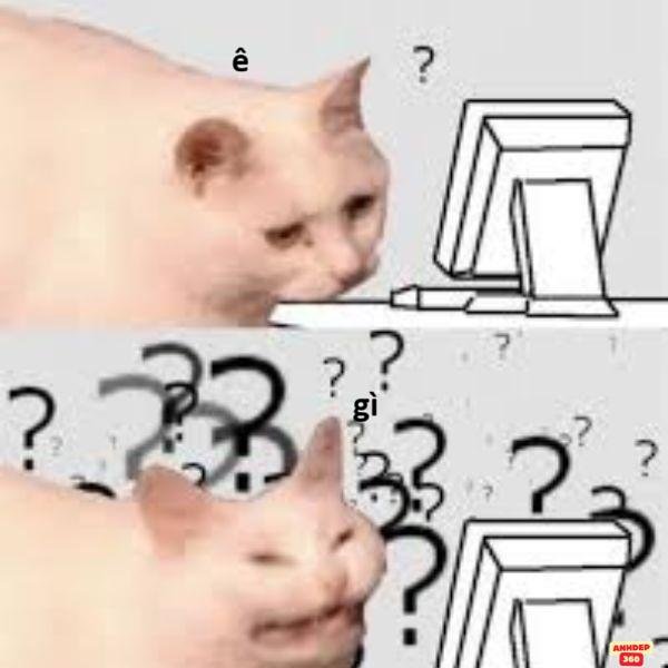 hình ảnh meme hỏi chấm troll team