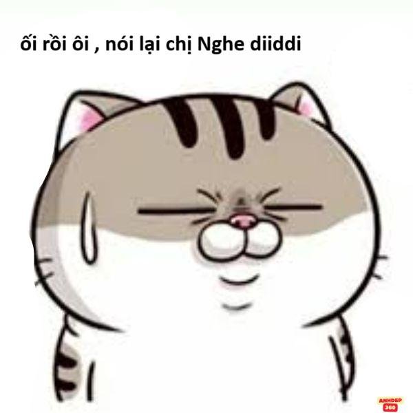 hình ảnh meme hỏi chấm