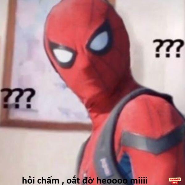 hình ảnh meme người nhện