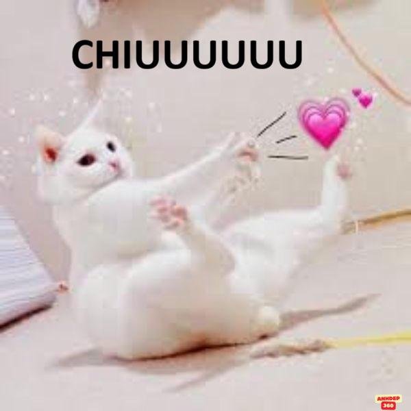 hình meme bắn tim troll team