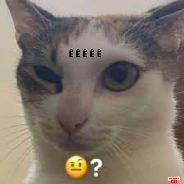 hình meme hỏi chấm