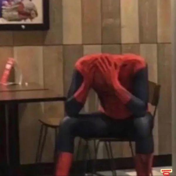 hình meme người nhện bựa