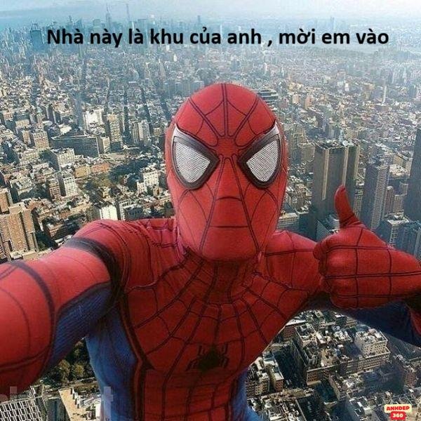 hình meme người nhện cực hài