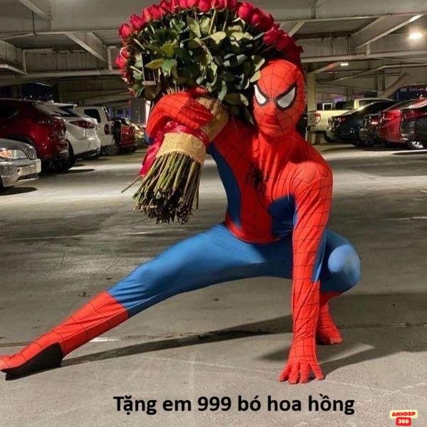 hình meme người nhện hài hước