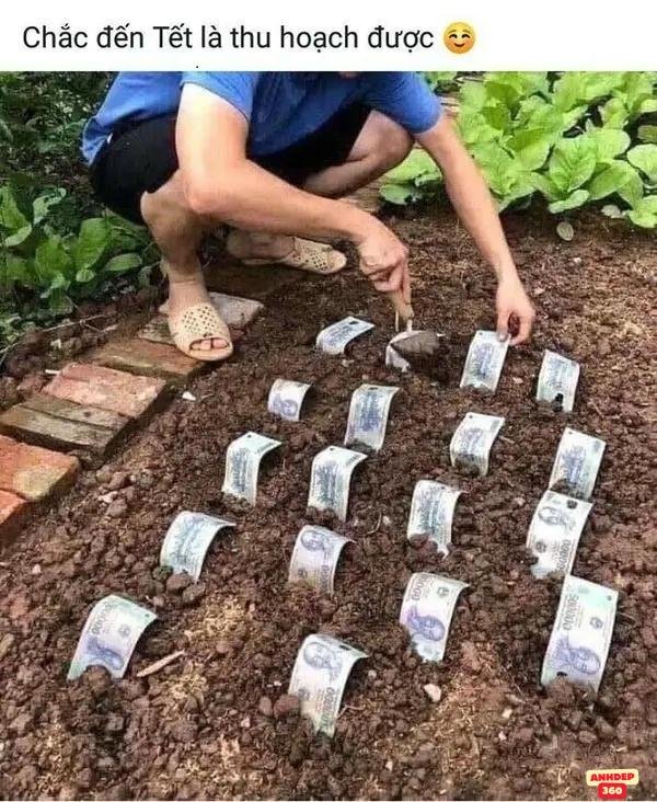 hình meme tiền chất lượng cao