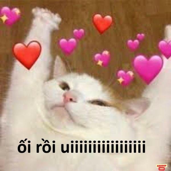 meme bắn tim troll team