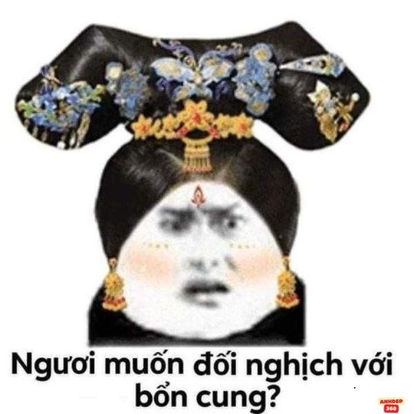 meme bựa bổn cung tức