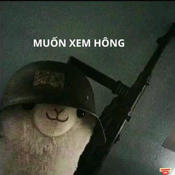 meme cầm súng 6 nòng