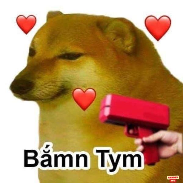 meme cầm súng bắn tym