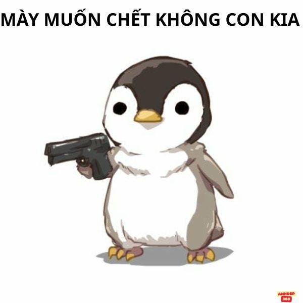 meme cầm súng chim cánh cụt