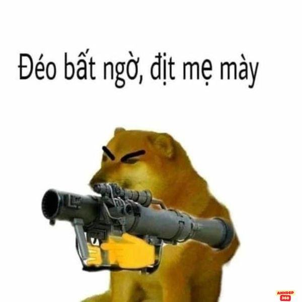 meme cầm súng chó