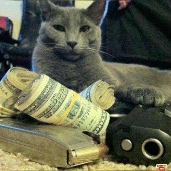 meme cầm súng khóc