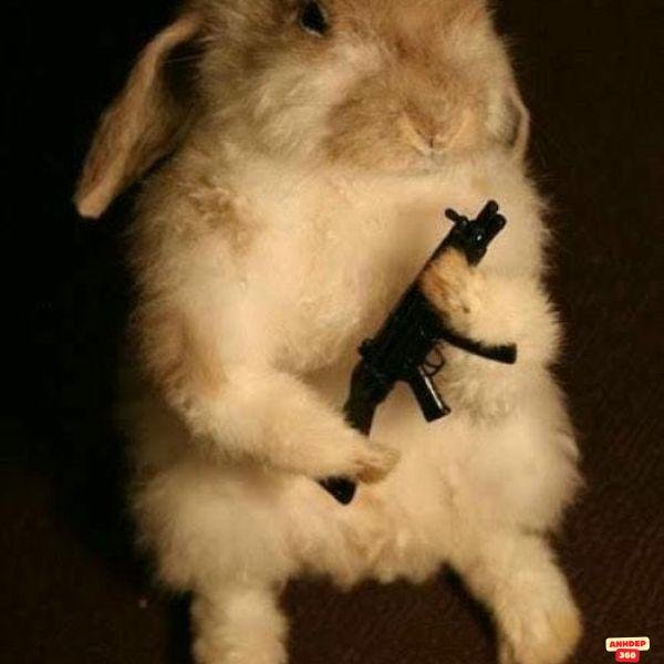 meme cầm súng tiểu liên