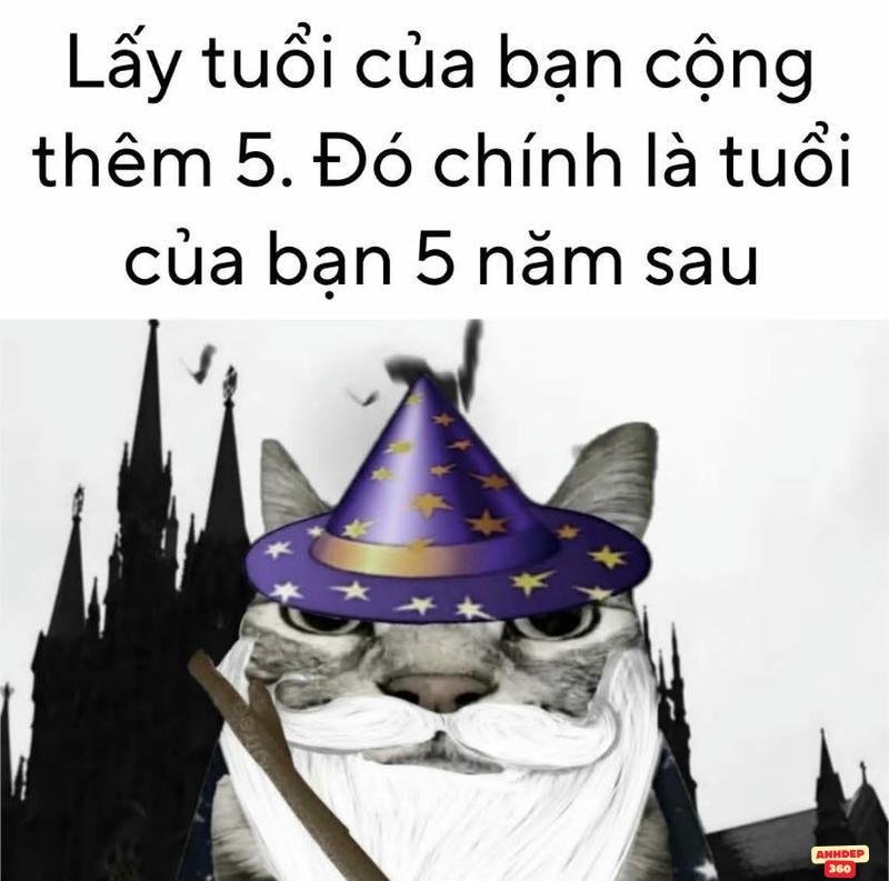 meme chất