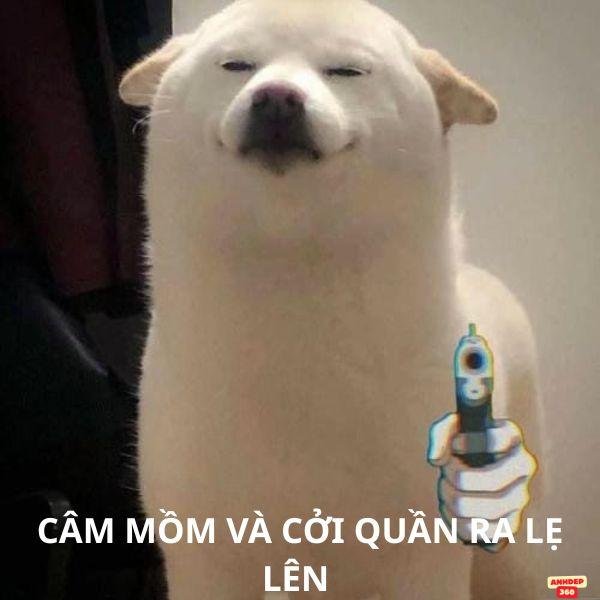 meme chó cầm súng