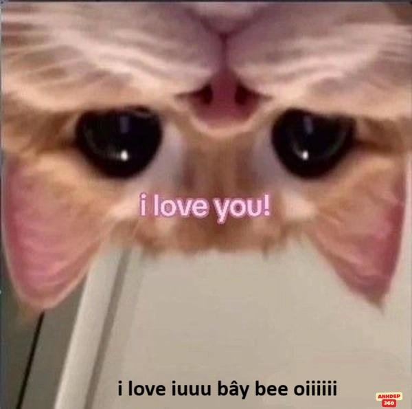 meme đáng yêu quá