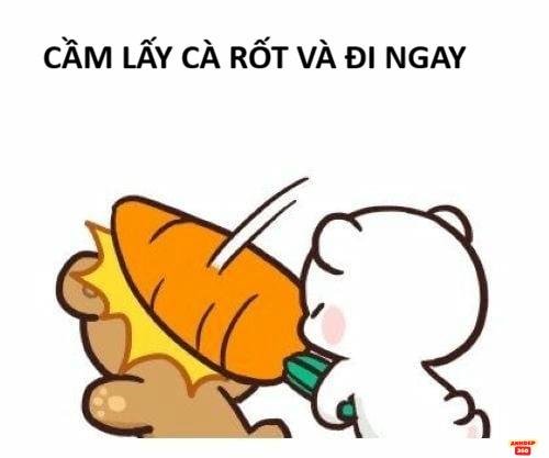 Tải Ngay Ảnh Meme Đánh Nhau Độc Lạ Để Gây Bão Trên Facebook