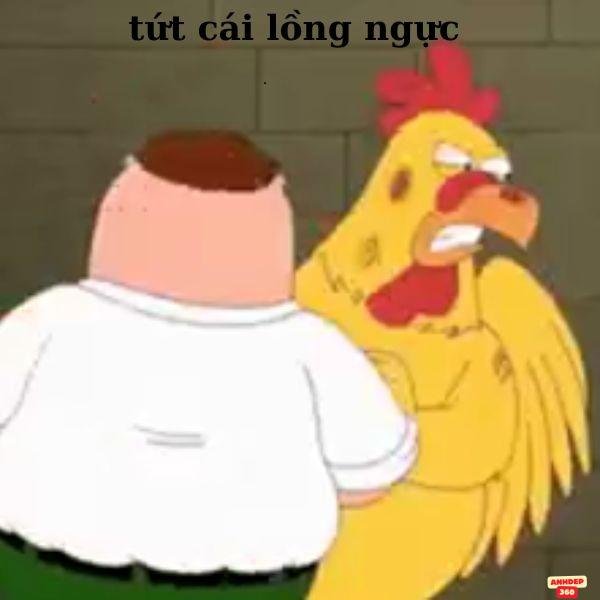 meme đánh nhau tức